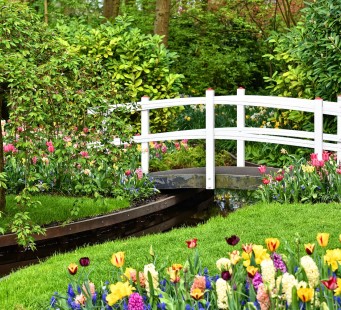 07 aprile - HAARLEM / LEIDEN - passando per il Keukenhof (40km) - Foto 1/3