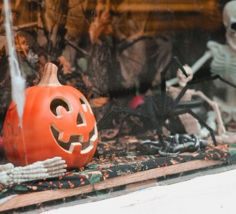 31 ottobre - Boston / Salem / Boston - Foto 3/3