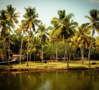 28 febbraio - COCHIN - Foto 2/2
