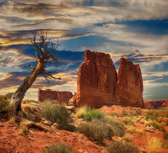 23 luglio - BRYCE CANYON/LAS VEGAS - Foto 1/3