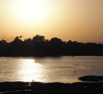 18 Ottobre - EDFU / KOM OMBO / ASWAN - Foto 3/3