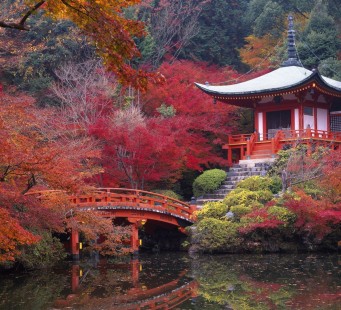 17 novembre - TAKAYAMA / SHIRAKAWAGO / KANAZAWA / KYOTO - Foto 3/3
