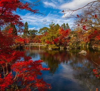 18 novembre - KYOTO - Foto 3/3