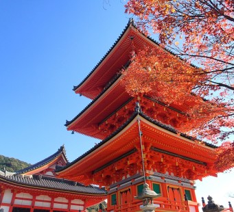20 novembre - KYOTO / NARA / KYOTO - Foto 3/3