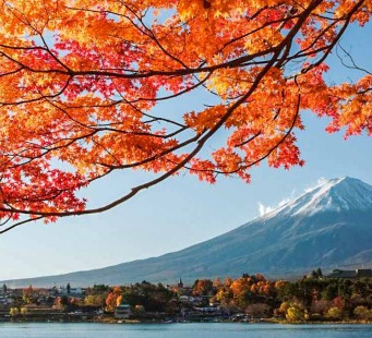15 novembre - TOKYO / MONTE FUJI / LAGO SUWA - Foto 1/3