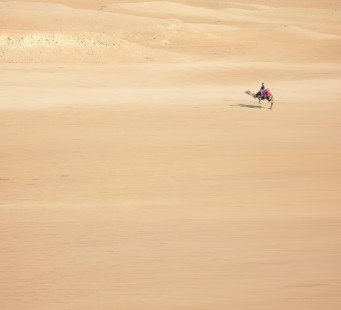 Giorno 4 - Cairo Copto, La cittadella di Saladino e Khan El Khalili bazaar - Foto 1/1