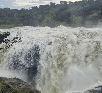 27 Febbraio - Il Parco Nazionale Murchison Falls - Foto 3/3
