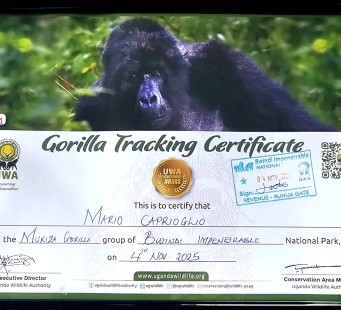 04 Marzo - Incontro con i Gorilla - Foto 3/3