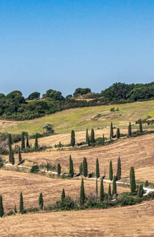 achir-hill-5995911.jpg