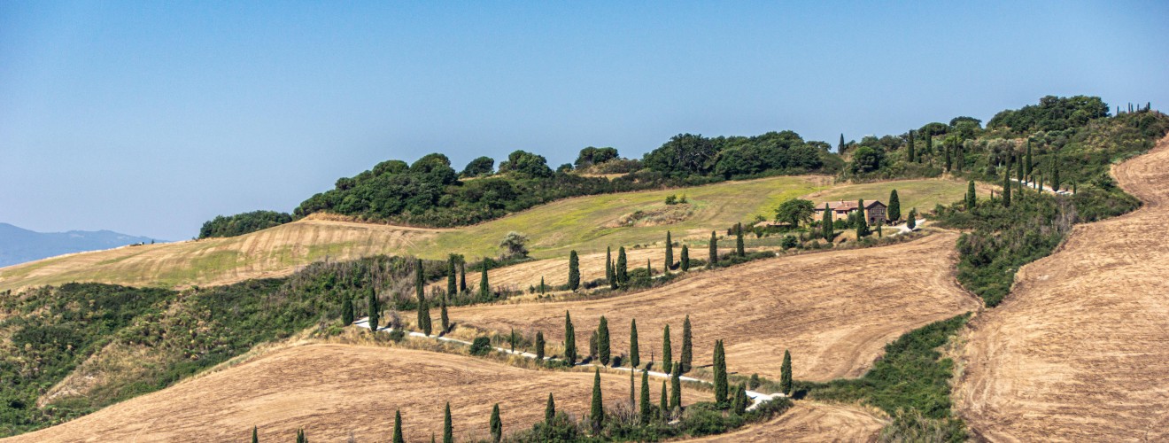 achir-hill-5995911.jpg