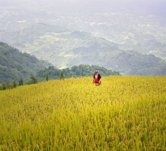 9 Giugno - Guilin - Foto 2/3
