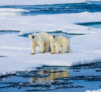 12 Agosto - Longyearbyen (Spitsbergen), Svalbard - Foto 1/3