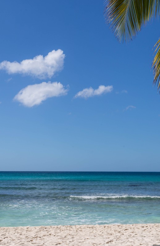 luidmilakot-dominicana-4620393.jpg