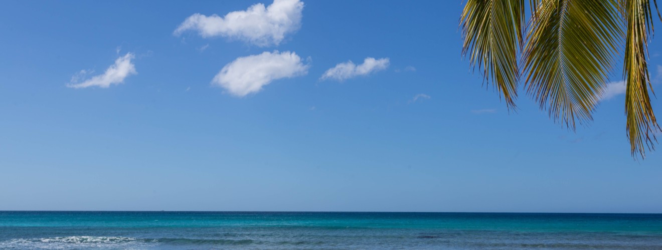 luidmilakot-dominicana-4620393.jpg